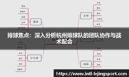 排球焦点：深入分析杭州排球队的团队协作与战术配合